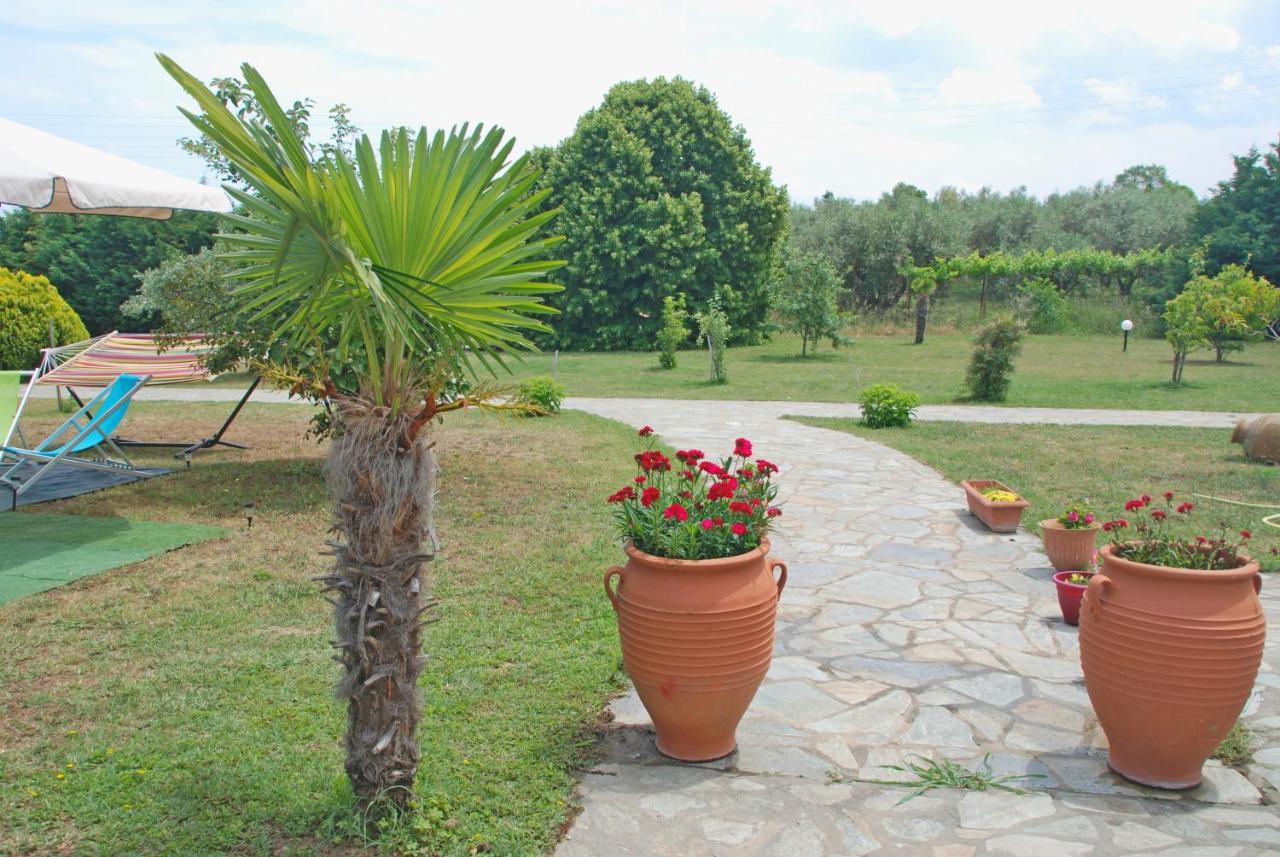 Casa Consta Olympus Villa Litochoro Exterior foto